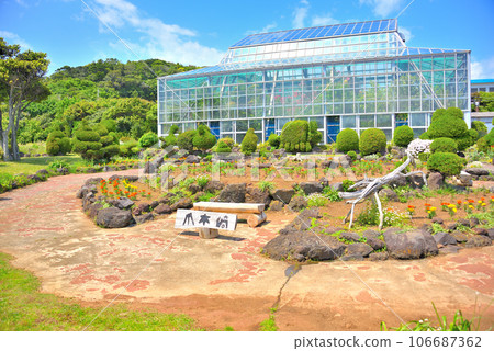 Highlights of the Izu Peninsula, Minami Izu, Tsumekizaki, and Tsumekizaki Hanazono, a greenhouse filled with seasonal flowers, Shimoda City, Shizuoka Prefecture (2) Highlights of the Izu Peninsula, Minami Izu, Tsumekizaki, and Tsumekizaki Hanazono, a greenhouse filled with seasonal flowers, Shimoda City, Shizuoka Prefecture (2) 106687362