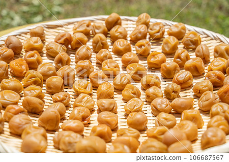 Plums being dried in Doyo 106687567