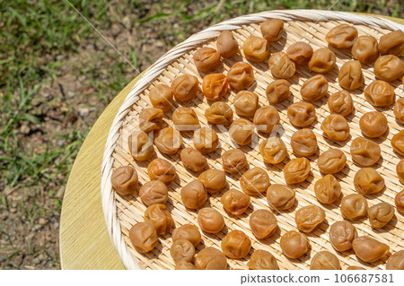 道約正在曬乾的李子 106687581
