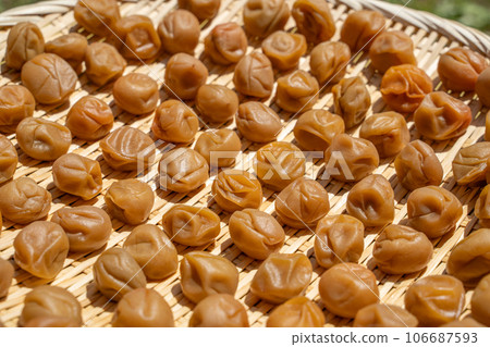 道約正在曬乾的李子 106687593