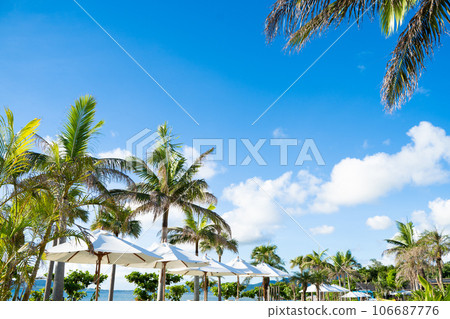 Tropical resort image 106687776