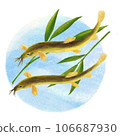 Illustration of bamboo leaves and two loaches swimming with round water background 106687930