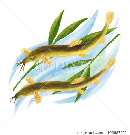 竹葉和兩隻泥鰍在水背景中游泳的插圖 106687931