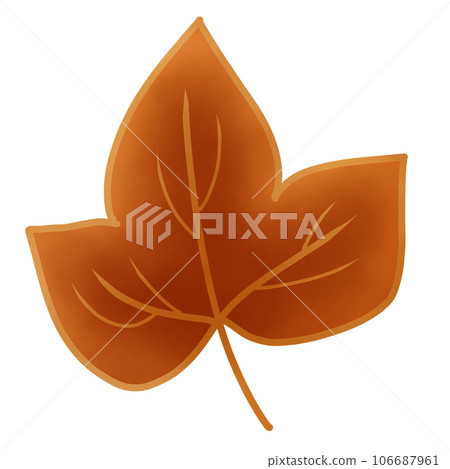 Maple leaf autumn season  106687961