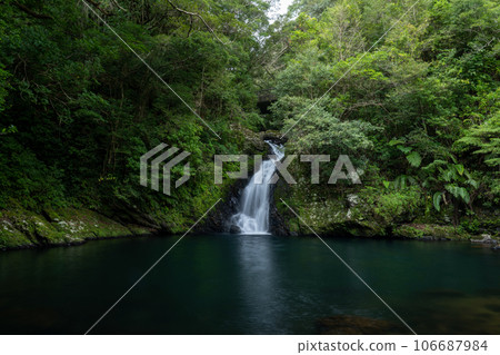 Materia Waterfall in the Forest, Amami Oshima 106687984