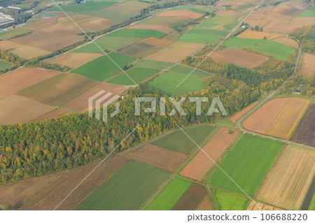 Biei, Hokkaido _ Aerial view of patchwork hill Biei, Hokkaido _ Aerial view of patchwork hill 106688220