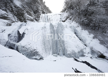 Fukuroda Falls in midwinter covered with snow and ice Fukuroda Falls in midwinter covered with snow and ice 106688481