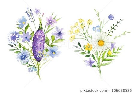 Floral watercolor bouquets with wildflowers, meadow flowers 106688526