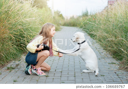 Puppy labrador retriever and little girl Puppy labrador retriever and little girl 106689767