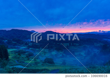 (新潟縣)稻穗留星峪梯田的朝霞 (新潟縣)稻穗留星峪梯田的朝霞 106690016