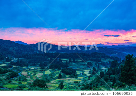 (Niigata Prefecture) Morning glow at rice terraces at Inahomiru Hoshitouge 106690025