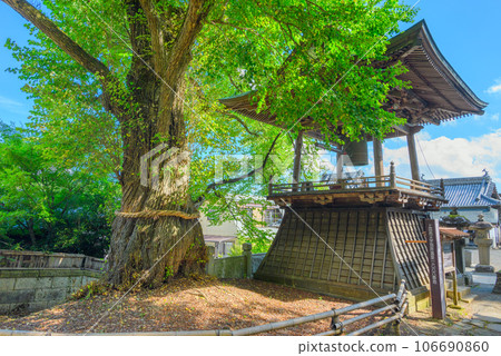 [Summer Kitamukai Kannon] Aizen Katsura and Bell Tower [Bessho Onsen] 106690860