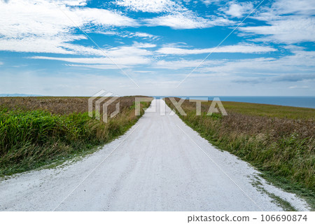 賽亞山的白色道路 賽亞山的白色道路 106690874