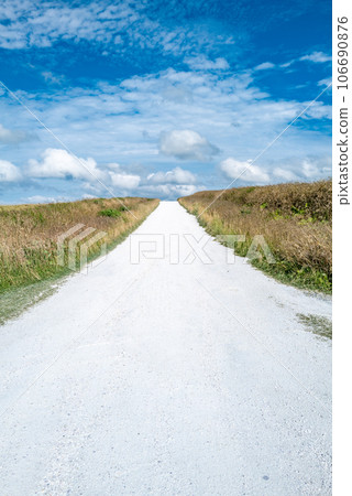 賽亞山的白色道路 賽亞山的白色道路 106690876
