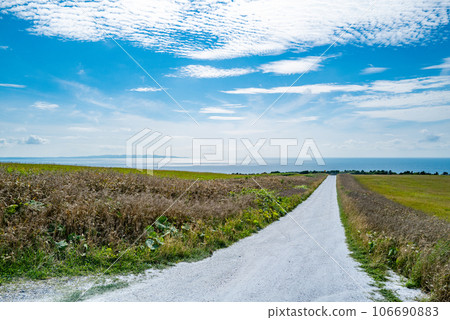 賽亞山的白色道路 賽亞山的白色道路 106690883