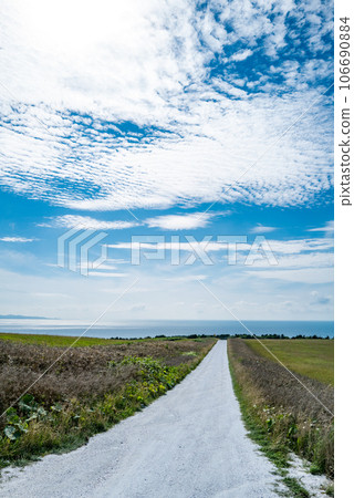 賽亞山的白色道路 賽亞山的白色道路 106690884