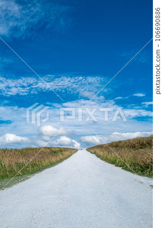 Saiya Hill's white road 106690886