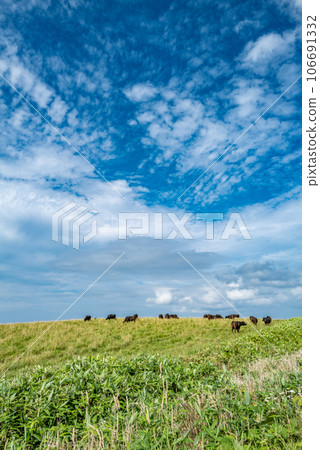 大豆山的壯麗景色 106691332