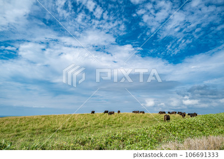 Spectacular view of Soya Hills 106691333