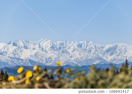 Northern Alps from the Fukuju grass colony area 106691417