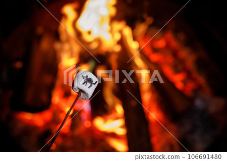 Marshmallows with Halloween pictures over fire. Funny leisure on traditional spooky holiday for children and families. Marshmallows with Halloween pictures over fire. Funny leisure on traditional spooky holiday for children and families. 106691480