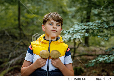 Preteen kid boy pick the edible mushroom during walk in the forest. Child and nature. 106691496