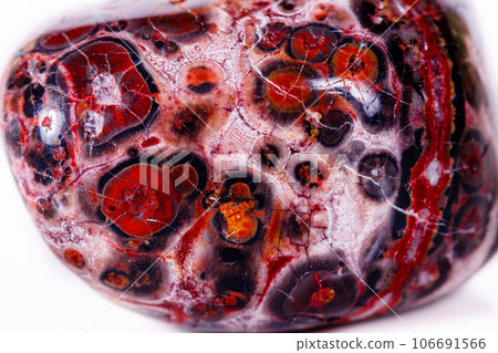 Macro mineral stone Jasper leopard on white background 106691566