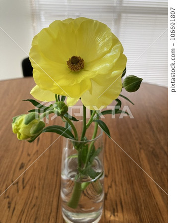 A flower living in a vase A flower living in a vase 106691807