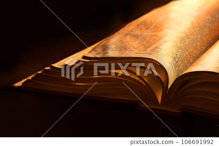 Still life from ancient book 106691992