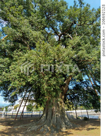 Okaya in Yokomuro, Fujimi-cho, Maebashi City, Gunma Prefecture Okaya in Yokomuro, Fujimi-cho, Maebashi City, Gunma Prefecture 106692128