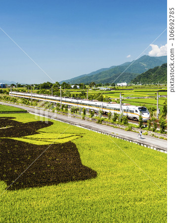 Tze-Chiang Limited Express(Tarko) trains are passing through the beautiful landscape of rice paddy fields in Hualien, Taiwan. 106692785