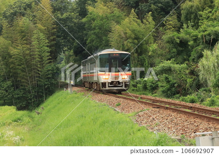 在新鮮的綠色中運行的火車 106692907