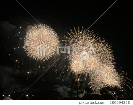 開花在夏夜天空的煙花 106694238