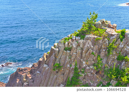 Izu Peninsula, Minami Izu, Tsumekizaki, geosite, view of Tawara Iso where columnar joints are lined up in an orderly manner, Shimoda City, Shizuoka Prefecture (11) 106694528