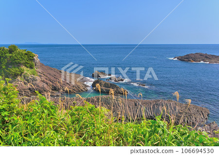 Izu Peninsula/Minami Izu/Tsumekizaki/Geosite, Tawara Iso where columnar joints are lined up in an orderly manner, and a view of the blue sea/Shimoda City, Shizuoka Prefecture (1) 106694530