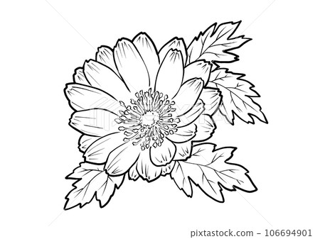 Fukujusou coloring book Fukujusou coloring book 106694901