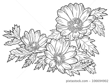 Fukujusou coloring book Fukujusou coloring book 106694902