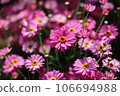 A photo of Margaret 106694988