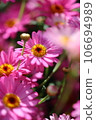 A photo of Margaret 106694989