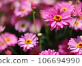 A photo of Margaret 106694990