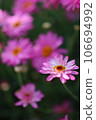 A photo of Margaret 106694992