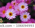 A photo of Margaret 106694993