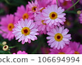 A photo of Margaret 106694994