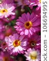 A photo of Margaret 106694995