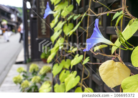 230908 三町 z034 106695372