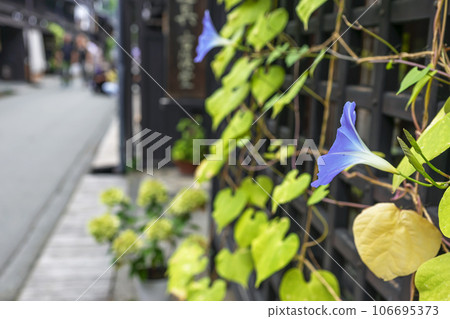 230908 Sanmachi z030 230908 Sanmachi z030 106695373