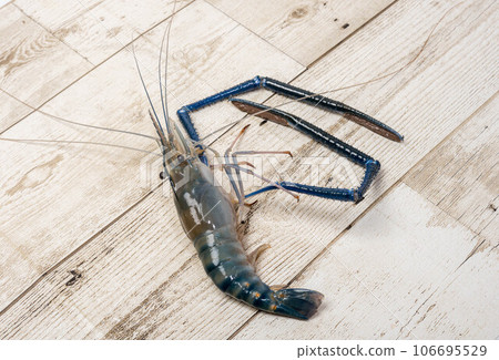 Fresh shrimp on wooden background. Seafood 106695529