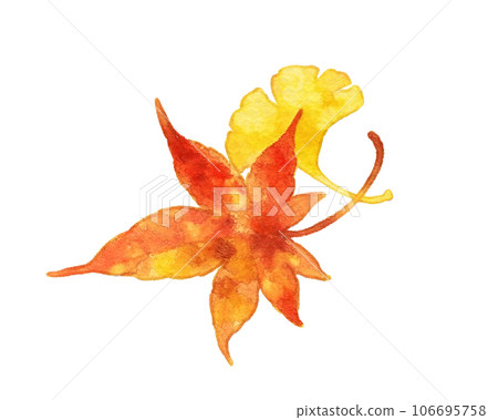 Watercolor style autumn leaves illustration Watercolor style autumn leaves illustration 106695758
