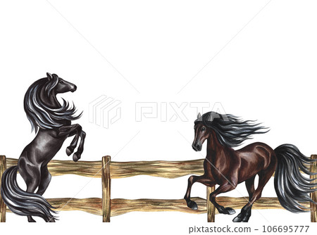 Banner with horses near a wooden fence. Hand watercolor. The horses get up and gallop. For printing and labels Banner with horses near a wooden fence. Hand watercolor. The horses get up and gallop. For printing and labels 106695777