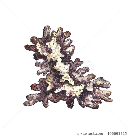 Coral frame. Undersea world. Watercolor hand drawn. Aquarium, tropical reef. Concept for label, business card and banner 106695815